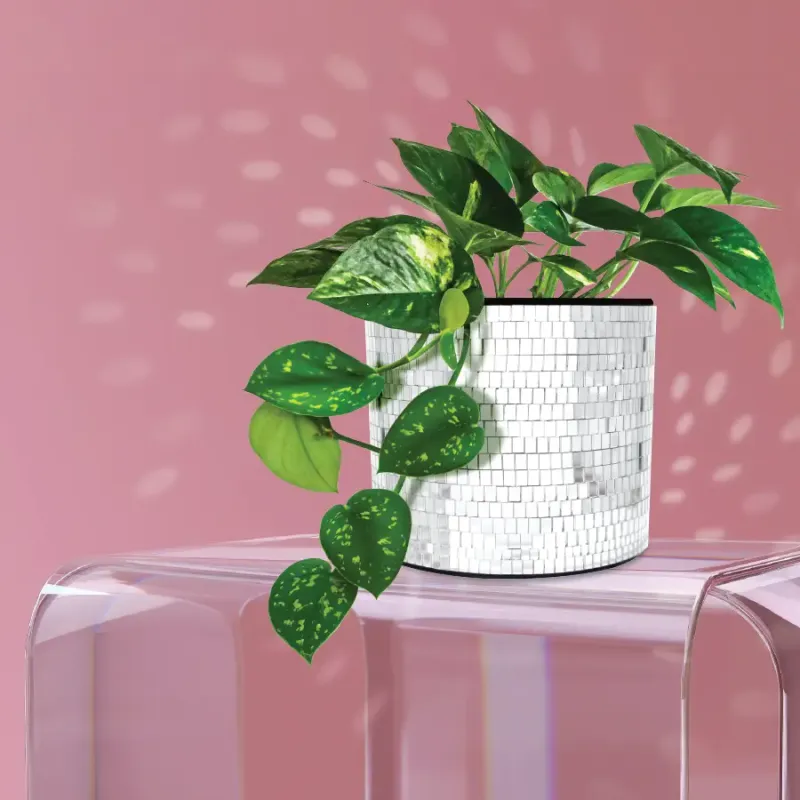 Disco Tabletop Planter