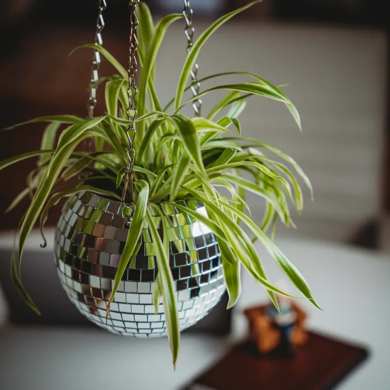 Disco Hanging Planter 6inch