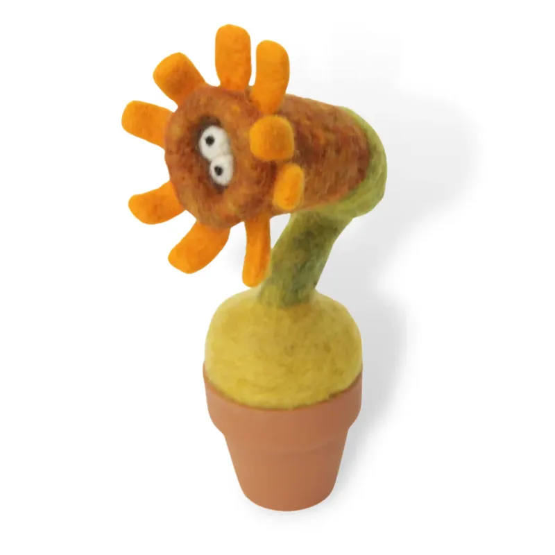 Sunflower Plant