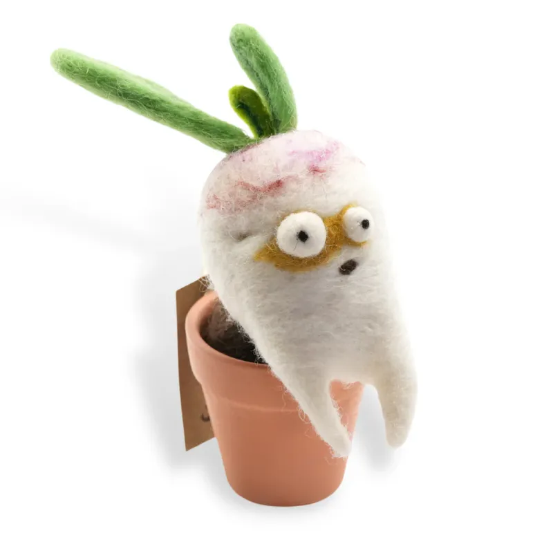 Radish Plant 
