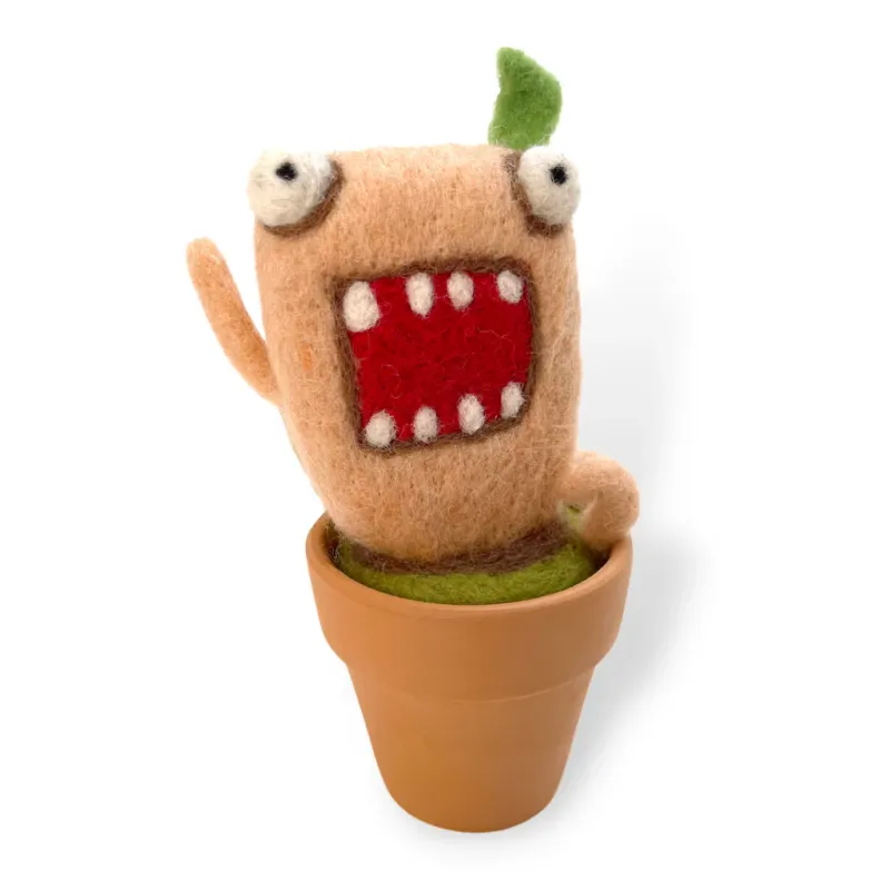 Momo Plant 