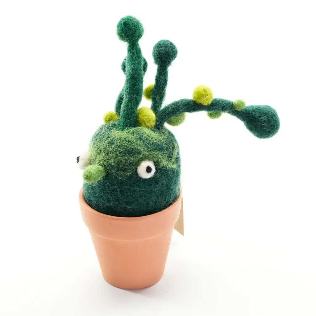 Wool Felt Bean Bean Plant