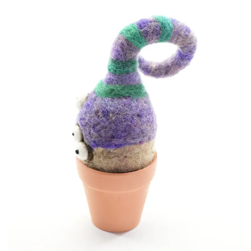 Onion Plant 