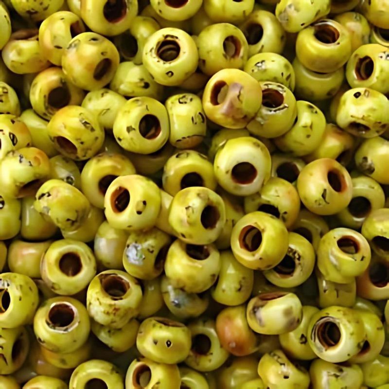 #8 Miyuki Rocailles Seed Beads - Picasso Matte Canary Yellow, Approx 440 Beads, 10 Grams/0.35oz