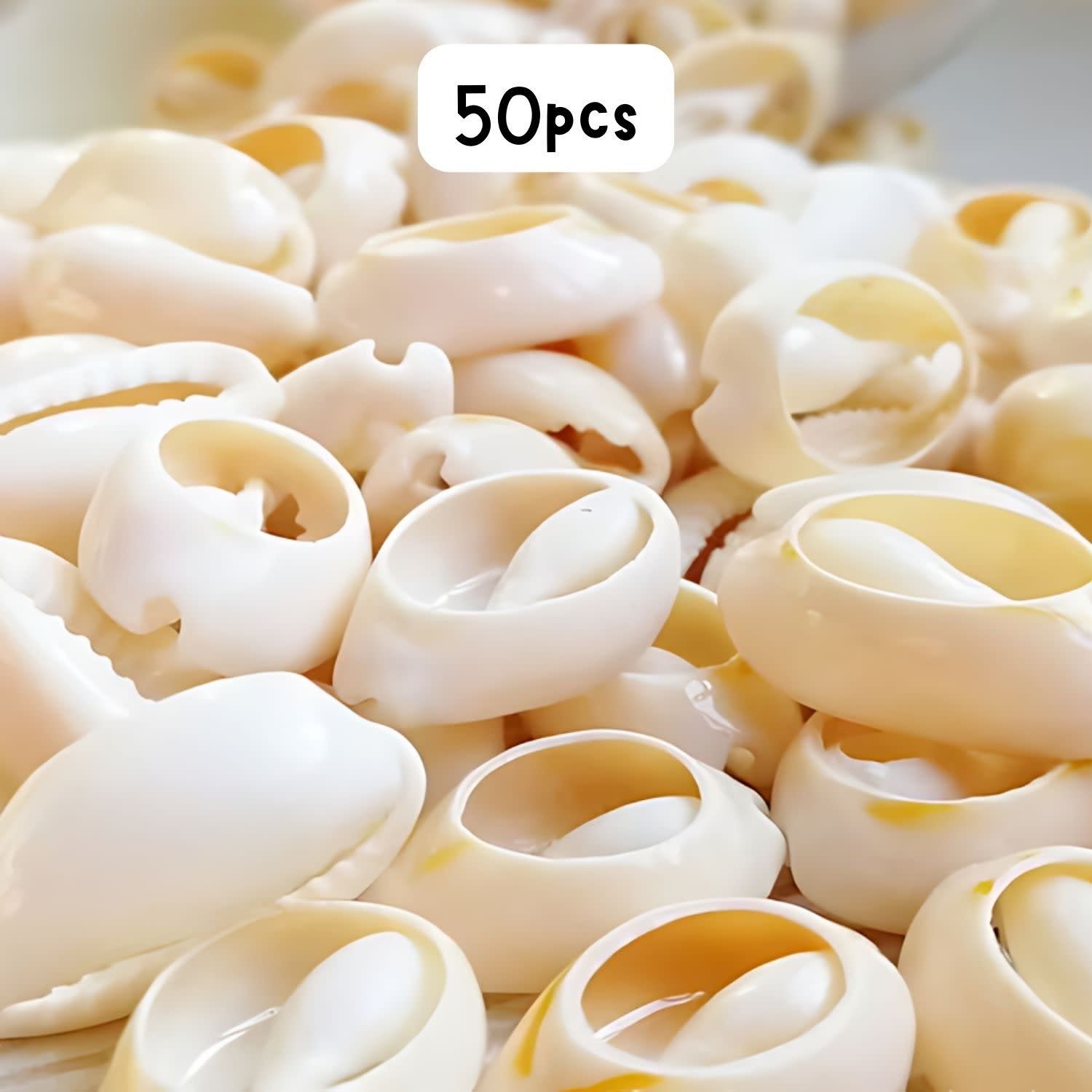 Cowrie Shells Sliced, Approx 50pcs, 19~24x14~17x5~9mm, 84gms/2.96oz