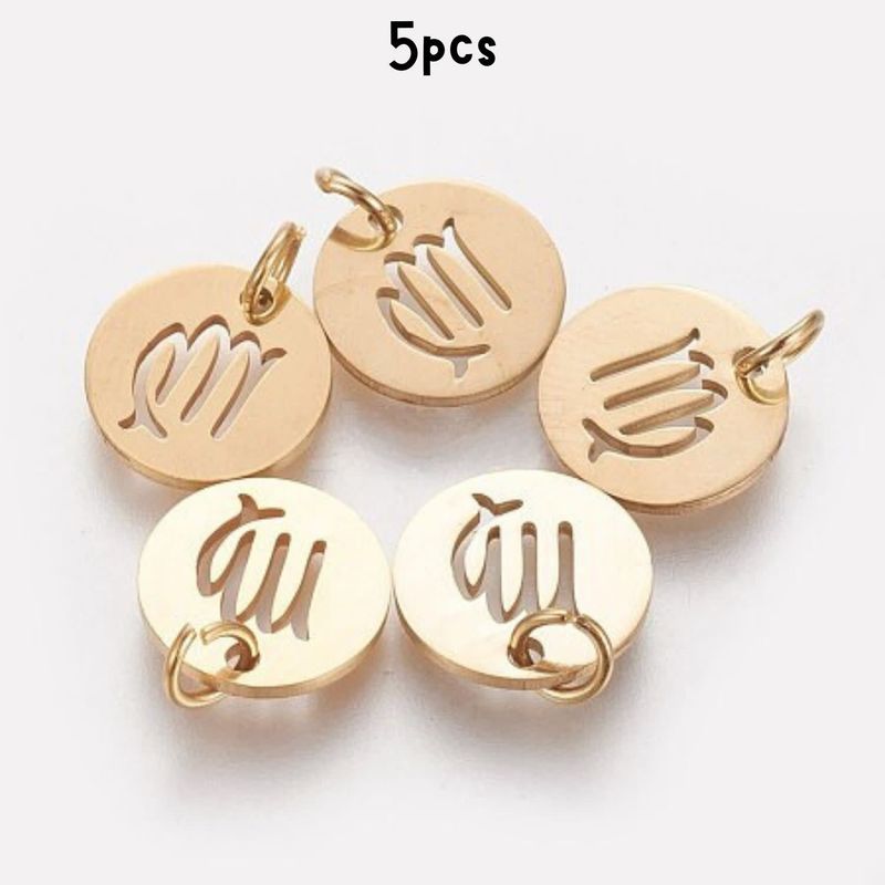 Gp Virgo Stainless Steel, 5pcs, 12x1mm, 5x0.8mm Jumprings, 2mm Hole, Zodiac Charms/Pendants, 5gms/0.18oz
