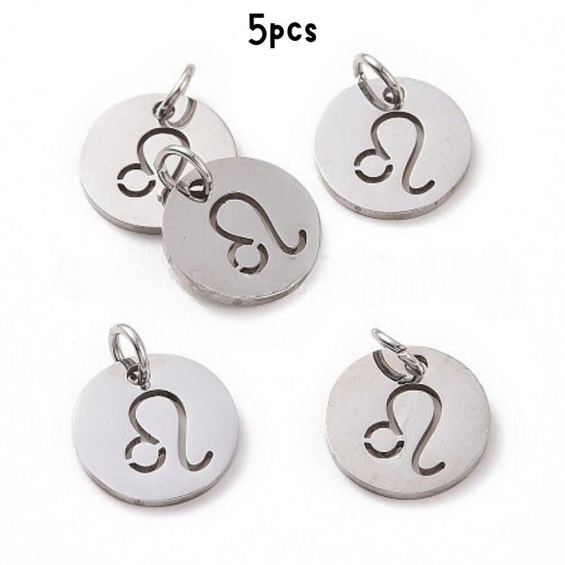 Leo Stainless Steel, 5pcs, 12x1mm, 5x0.8mm Jumprings, 2mm Hole, Zodiac Charms/Pendants, 5gms/0.18oz
