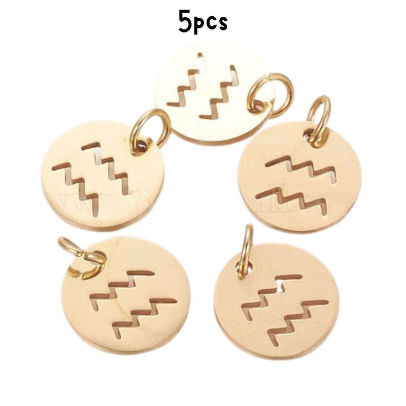 Gp Aquarius Stainless Steel, 5pcs, 12x1mm, 5x0.8mm Jumprings, 2mm Hole, Zodiac Charms/Pendants, 5gms/0.18oz