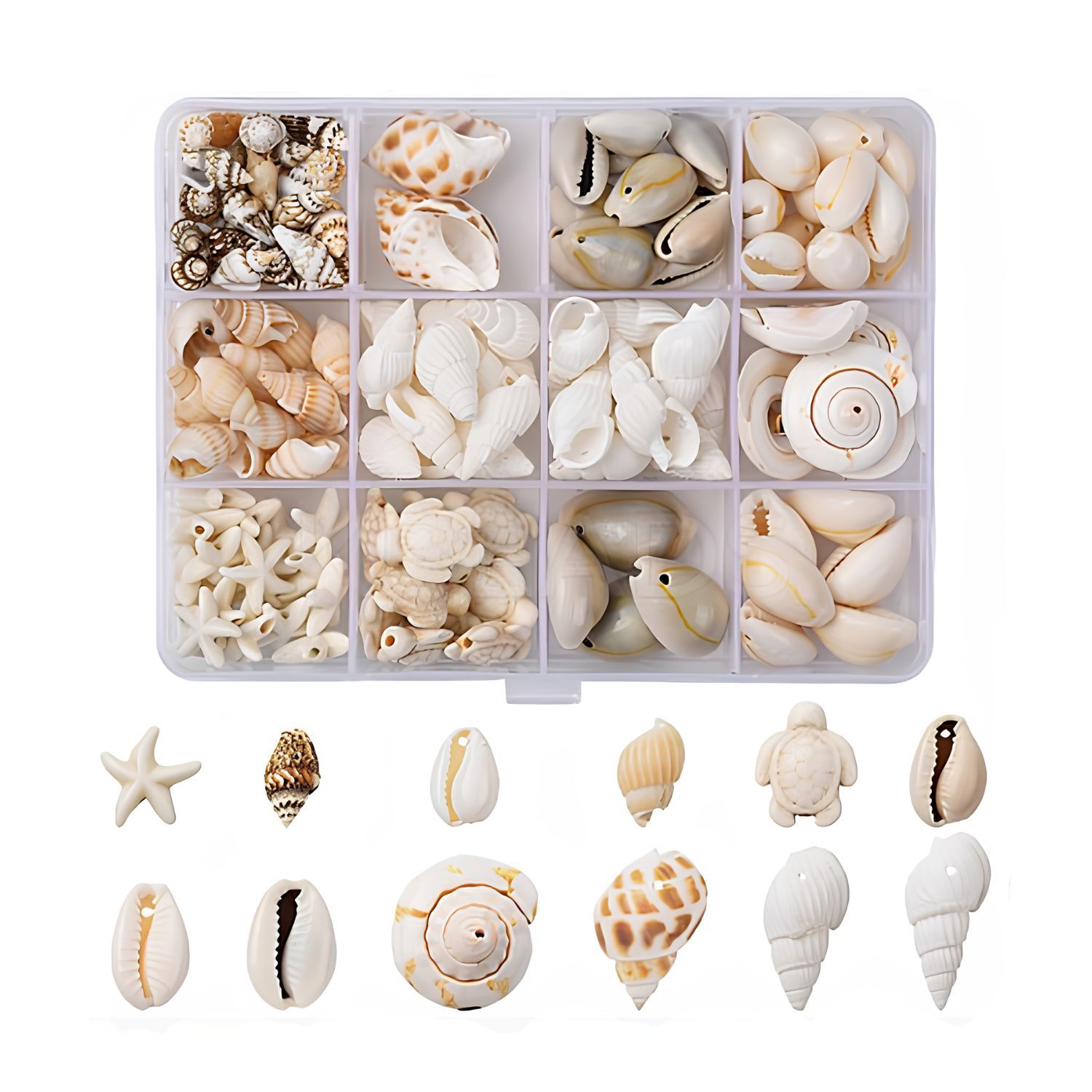 Natural Sea Shells &amp; Acrylic Beads, Mixed Neutrals, 16~29x11~18x9~17mm, 5.15oz