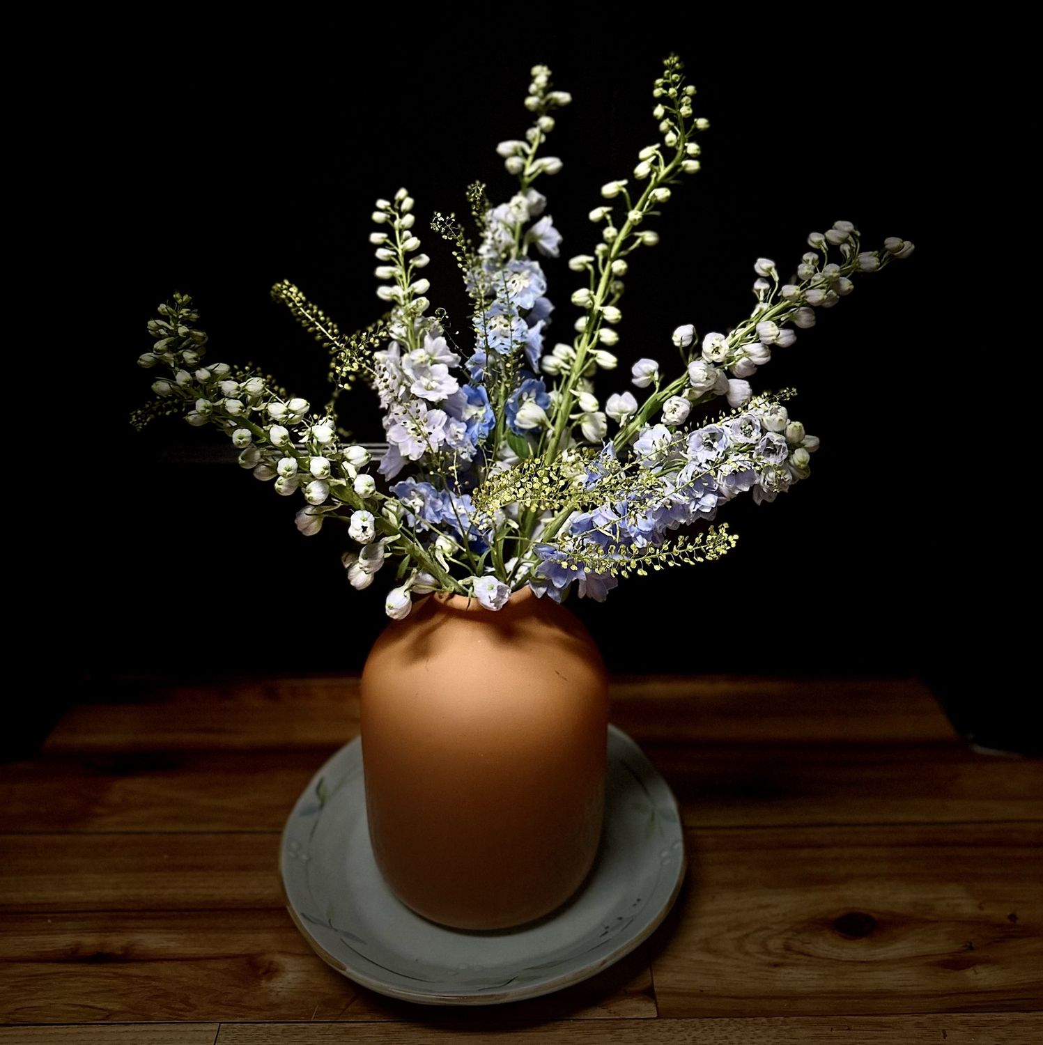 Sprung From the Cracks