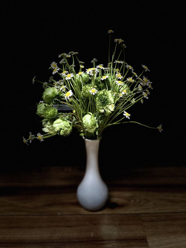 Small Arrangement