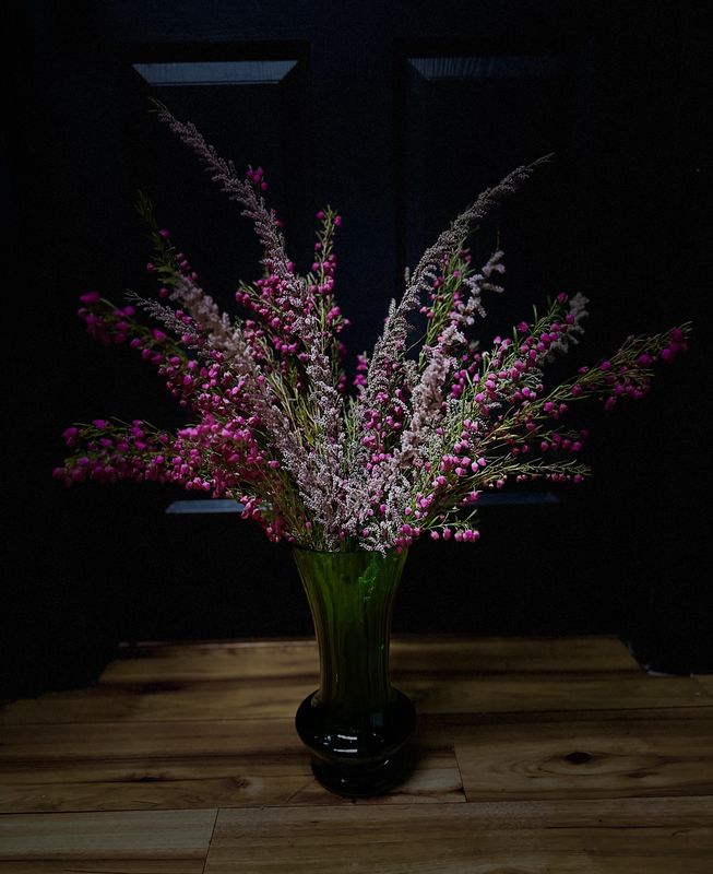 Isn&#39;t She Lovely