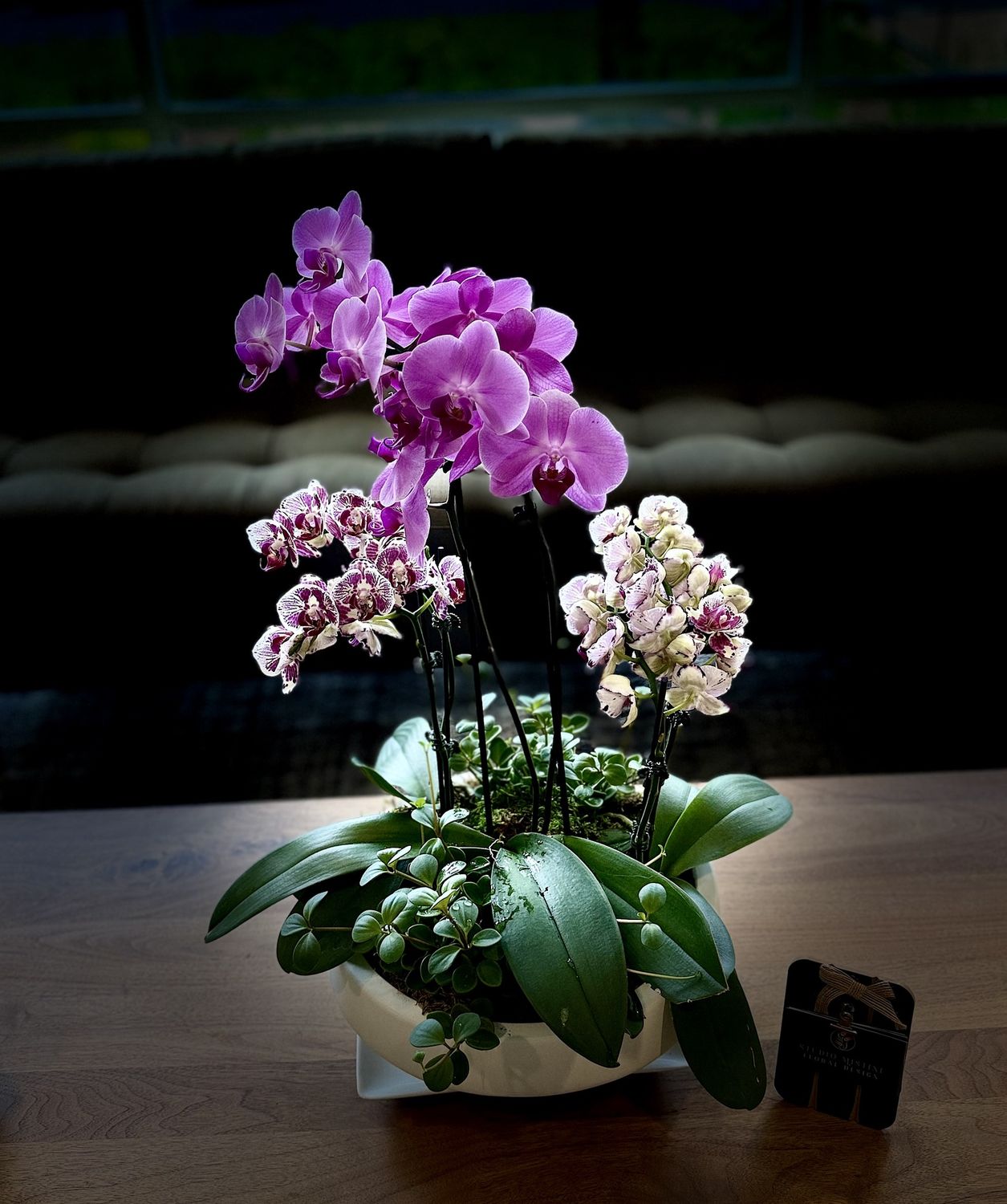 Orchid'cha Not