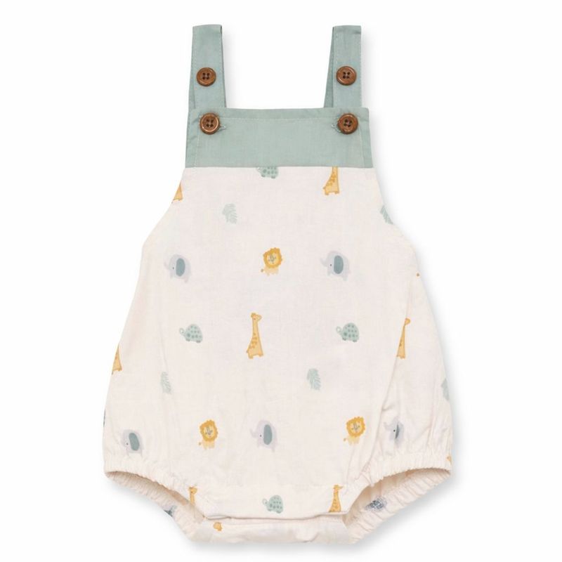 Ranita Bebé Niño Zoo