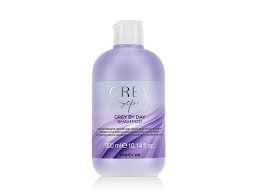 INEBRIA GREY BY DAY SHAMPOO 300 ML