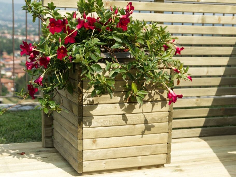 FIORIERA CAMELIA CM 40x40x40h