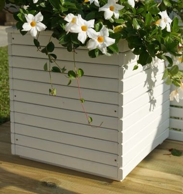 FIORIERA CAMELIA CM 40x40x40h BIANCA
