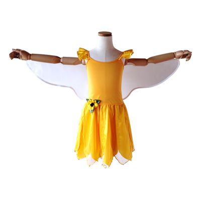 Yellow Fairy Dress and Wings