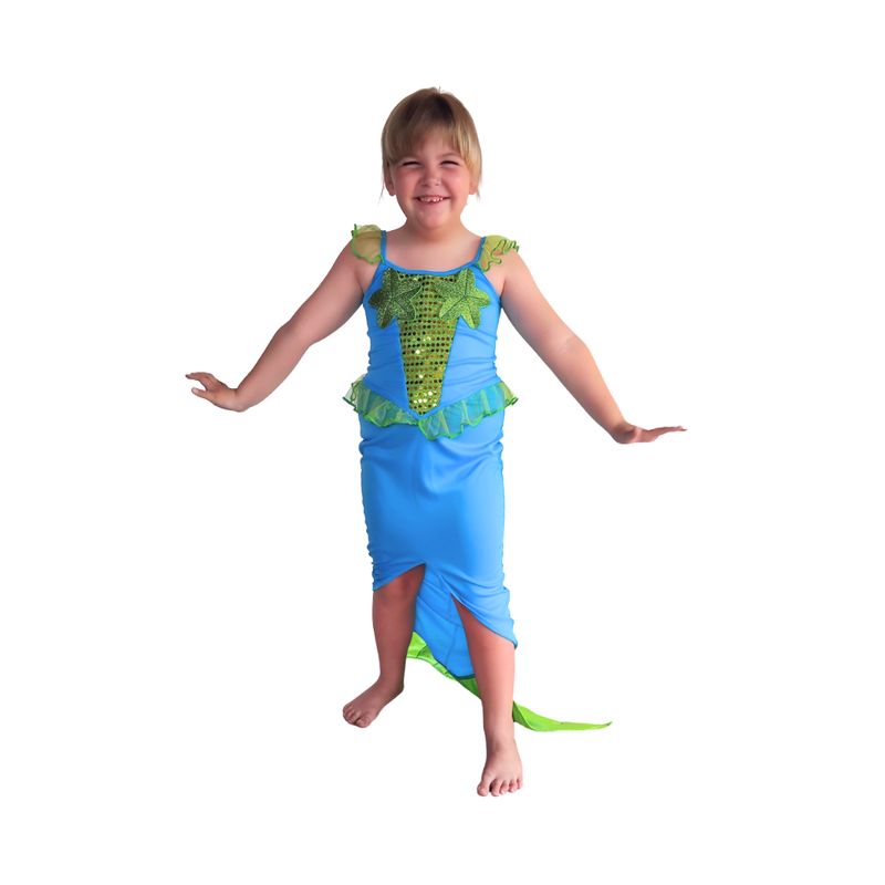 Blue and Green Mermaid Costume