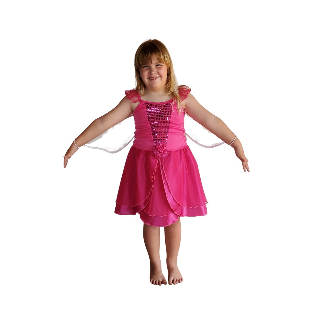 Rosetta Fairy Dress and Wings