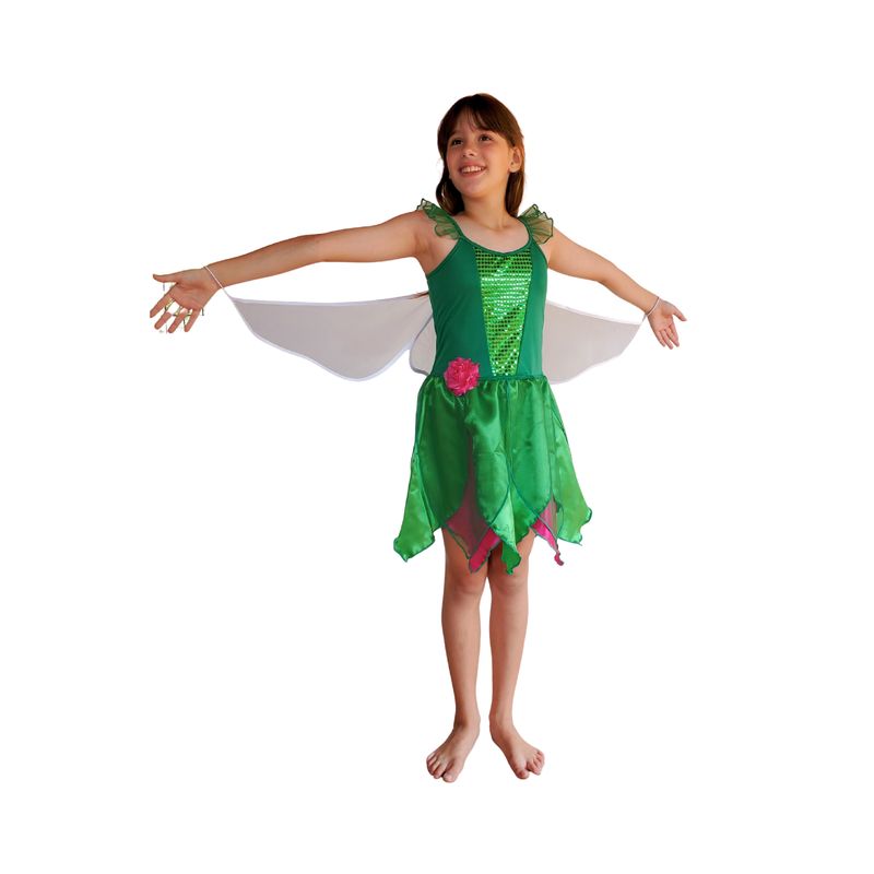Tinkerbell Fairy Dress and Wings