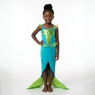 Blue and Green Mermaid Costume Blue and Green Mermaid Costume