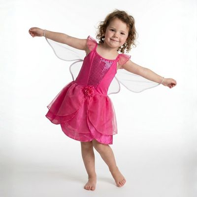 Pink Fairy Dress and Wings