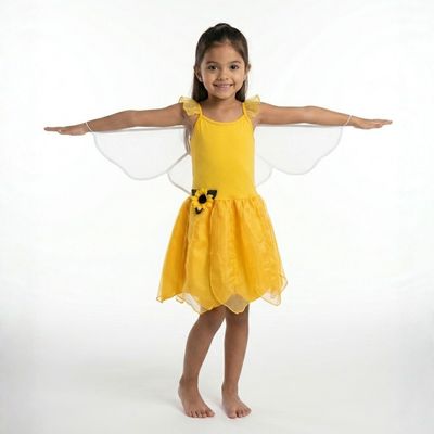 Yellow Fairy Dress and Wings Yellow Fairy Dress and Wings