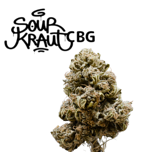 Palatine Tree Sour Kraut Bio CBG Aromablüte  DE-ÖKO-006