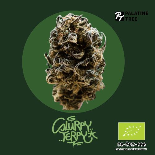 Palatine Tree Slurpy Terpy – Bio CBD Aromablüte DE-ÖKO-006