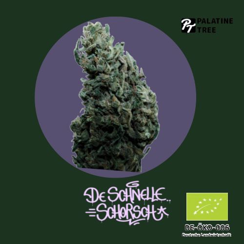 Palatine Tree De schnelle Schorsch Bio CBD Aromablüte DE-ÖKO-006