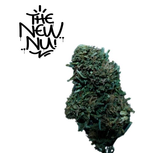 Palatine Tree The New Nu Bio CBD Aromablüte