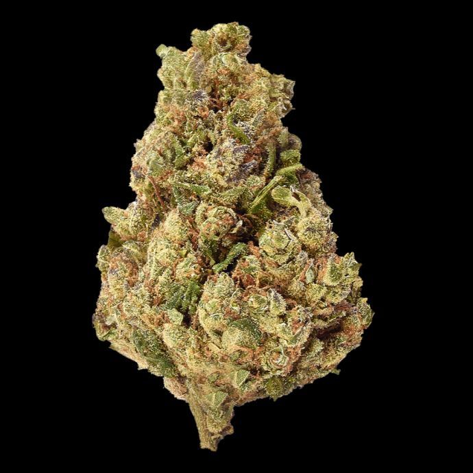 Amnesia CBD