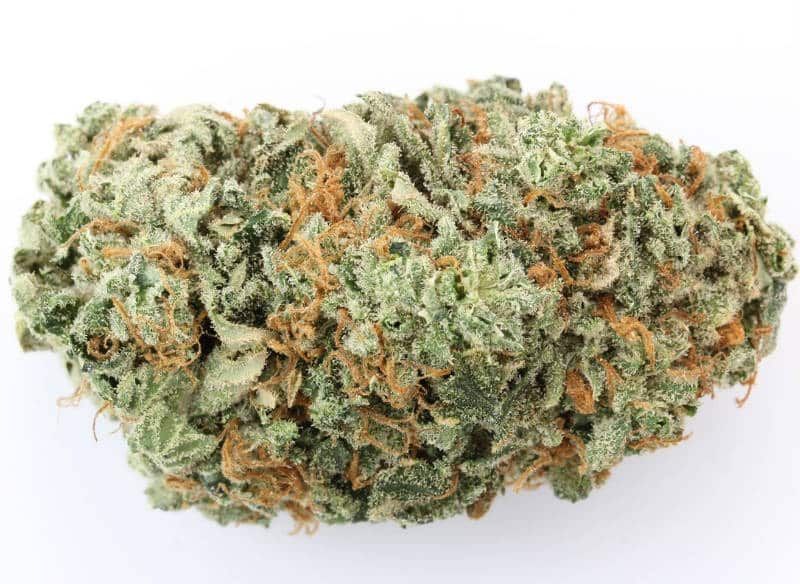 G-13 CBD