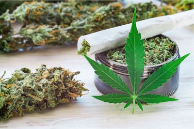 Fleurs CBD
