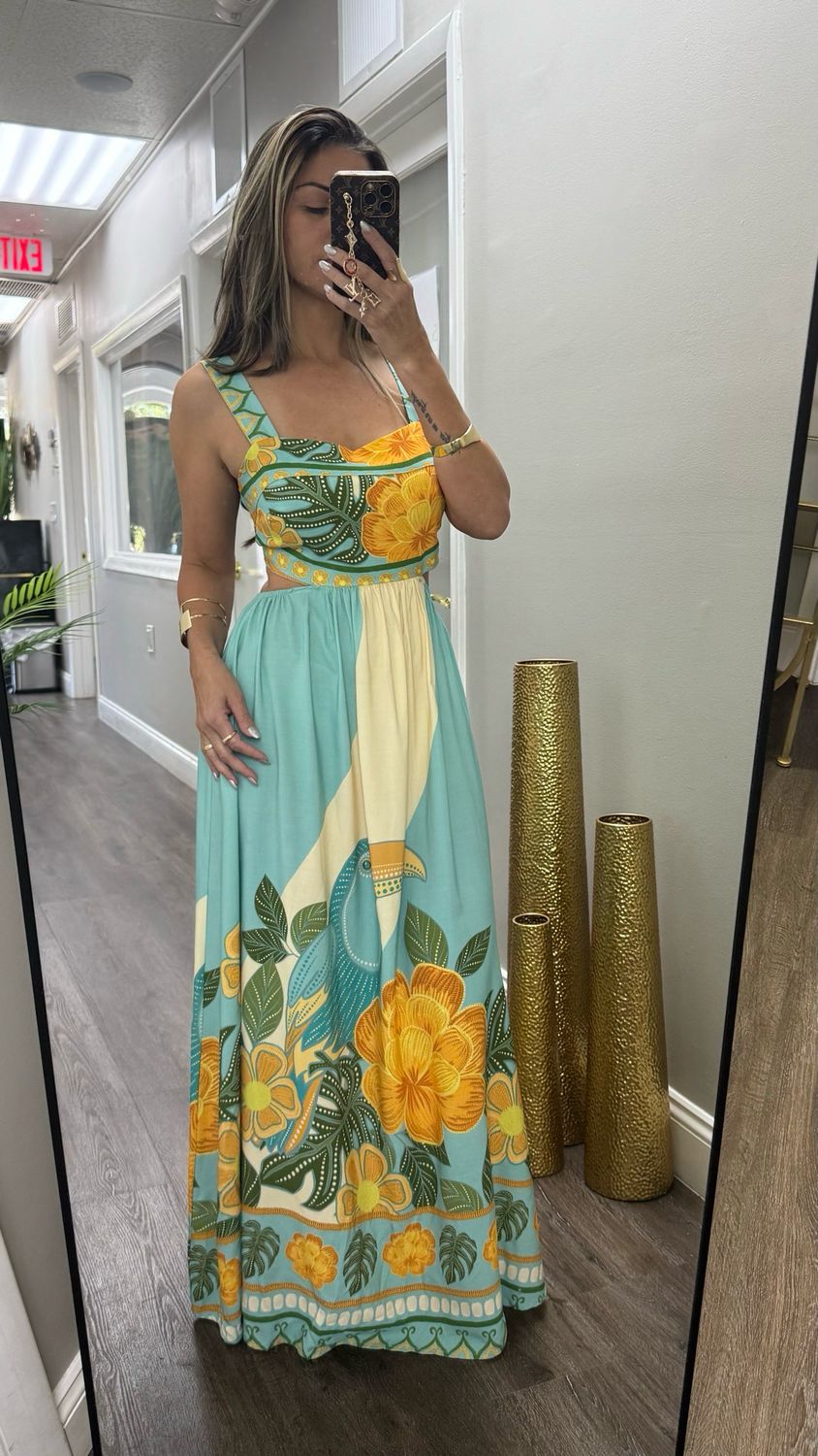 Spring Printed Brazil Dress