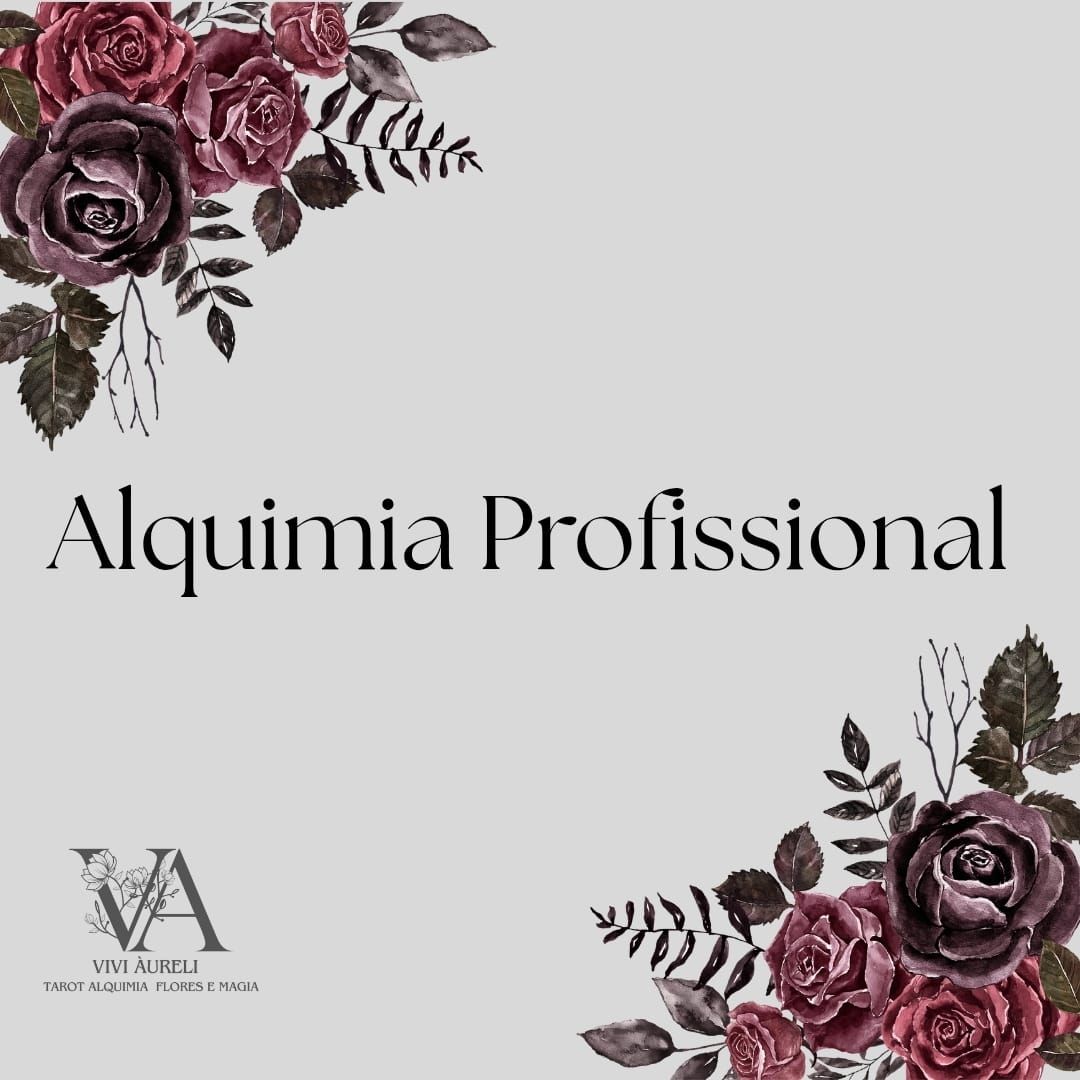 ALQUIMIA PROFISSIONAL 