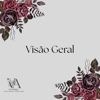 VISÃO GERAL