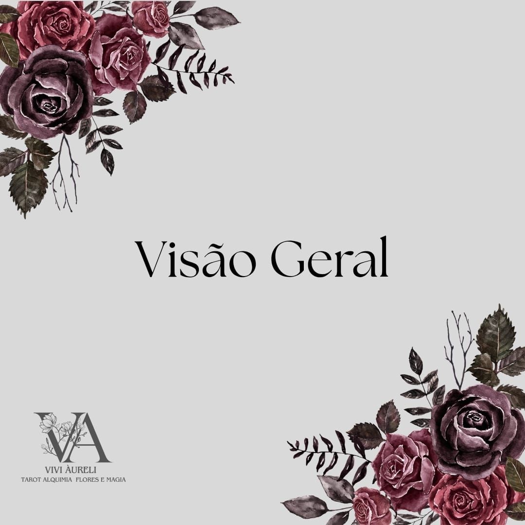 VISÃO GERAL