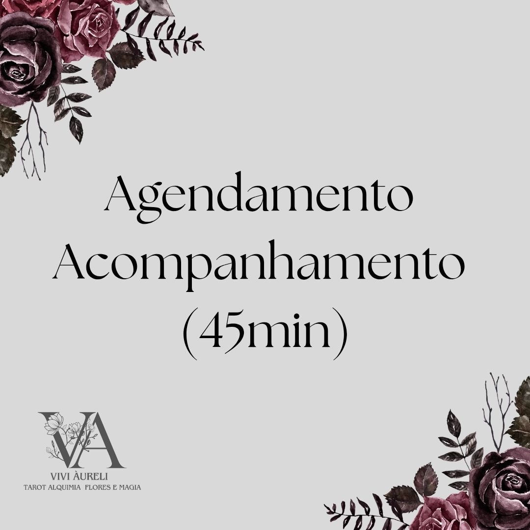 Acompanhamento (45min)