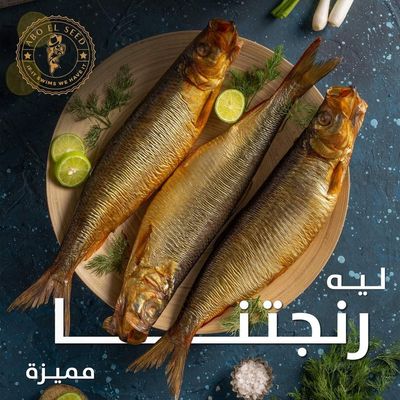 Abo El Seed Frozen Cold Smoked Herring - Whole - Sold by weight in Kg