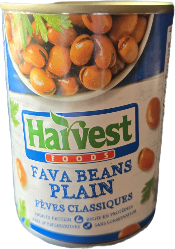 Harvest Foods Fava Beans Plain 400 g