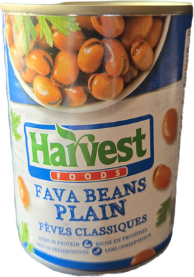 Harvest Foods Fava Beans Plain 400 g