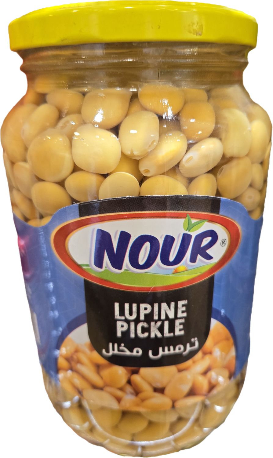 Nour - Lupine pickle - 1 Kg Jar