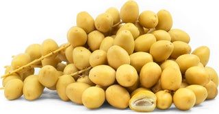 Fresh Egyptian Barhi Yellow Dates - 1Kg