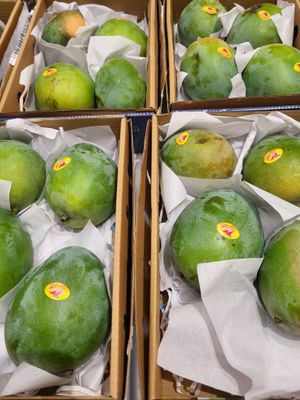 Fresh Egyptian Keitt Mango box - 2kg