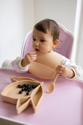 Bibs and bibs