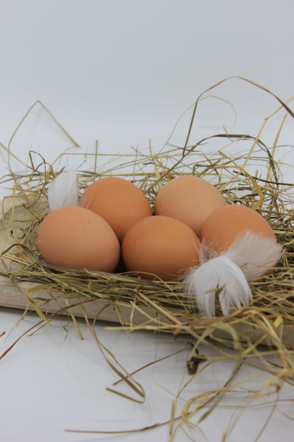 Bio-Eier im 6-er Pack