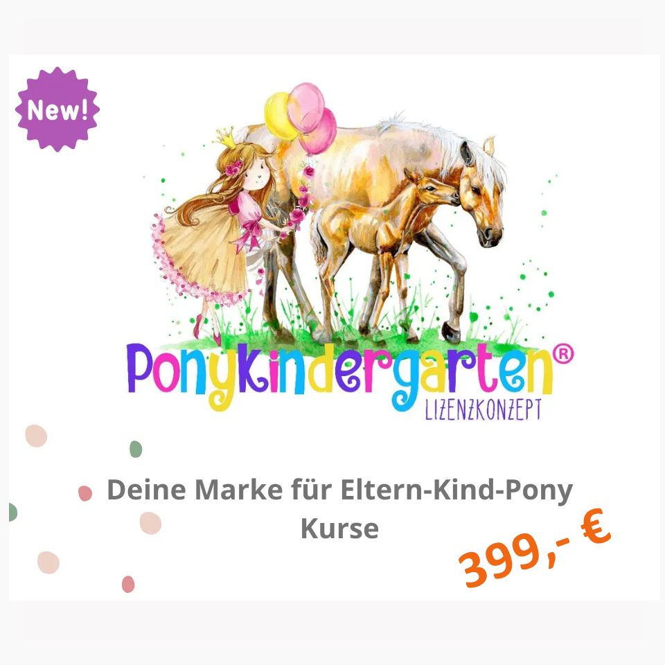 Ponykindergarten - das Kurskonzept