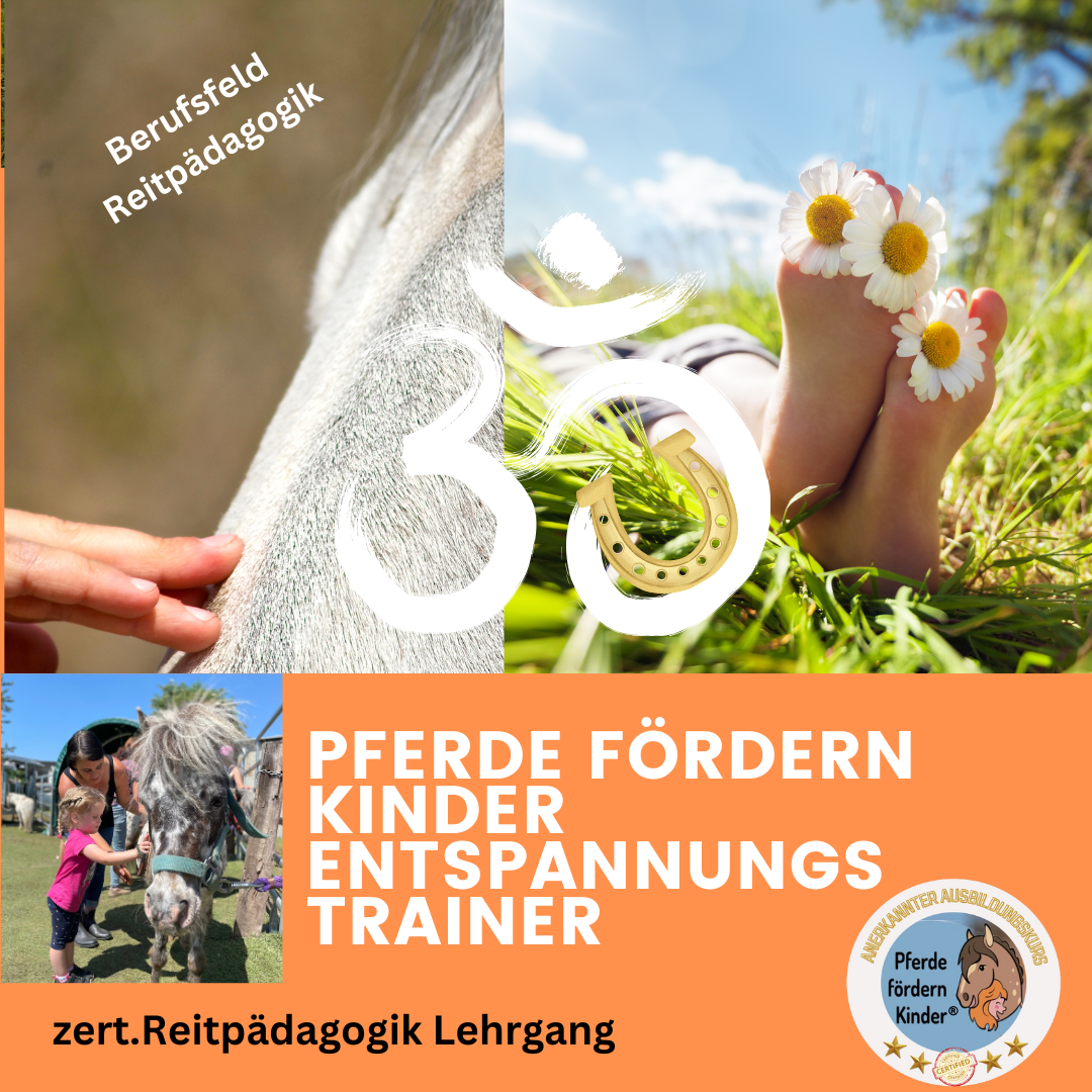 PfK Entspannungstrainer